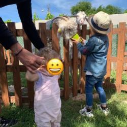 Ferme roule ma poule juin 2019