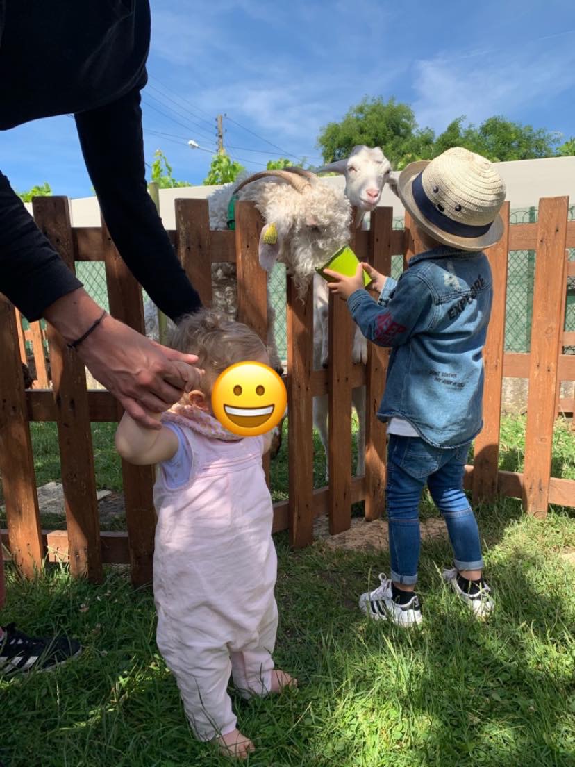 ferme roule ma poule juin 2019