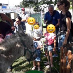 Ferme roule ma poule juin 2019 
