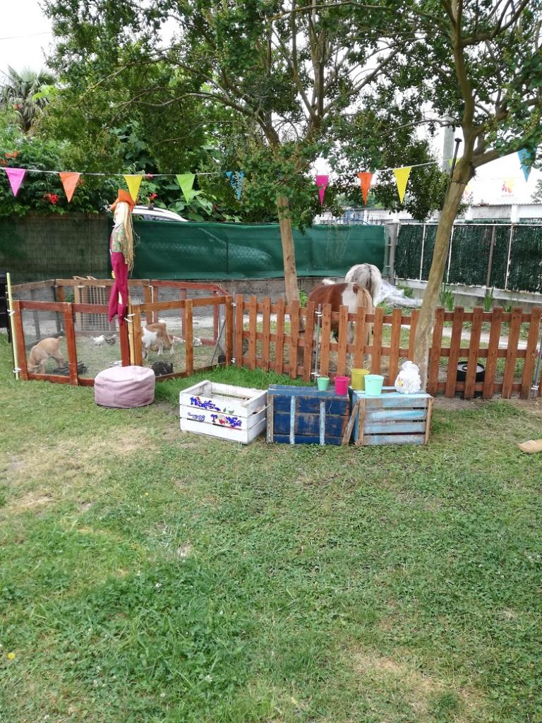 La ferme Roule ma Poule (15)