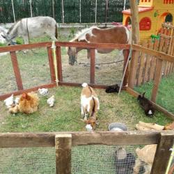 La ferme Roule ma Poule (16)
