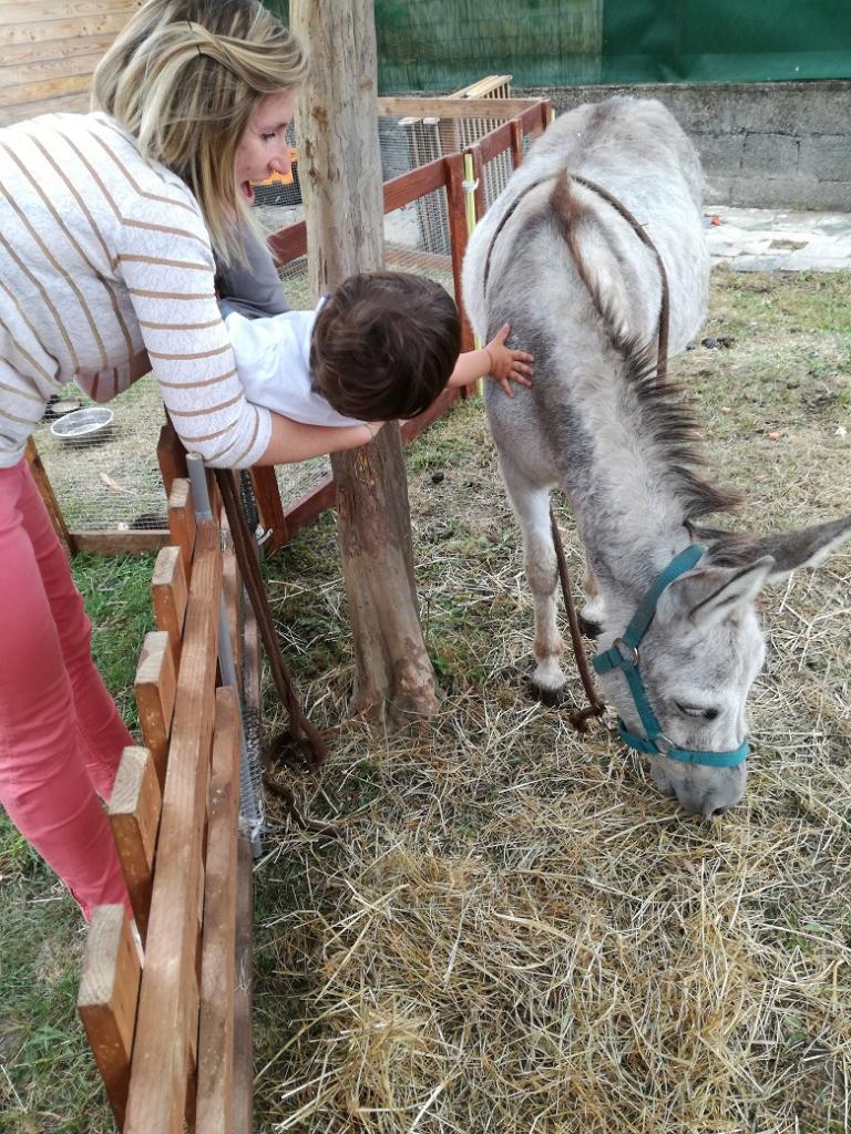 La ferme Roule ma Poule (2)