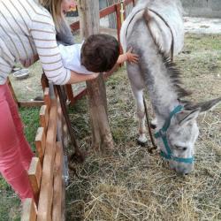 La ferme Roule ma Poule (2)