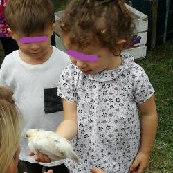 La ferme Roule ma Poule (22)