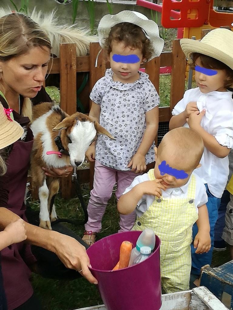 La ferme Roule ma Poule (24)