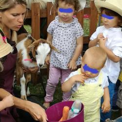 La ferme Roule ma Poule (24)