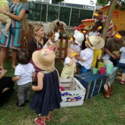 La ferme Roule ma Poule (25)