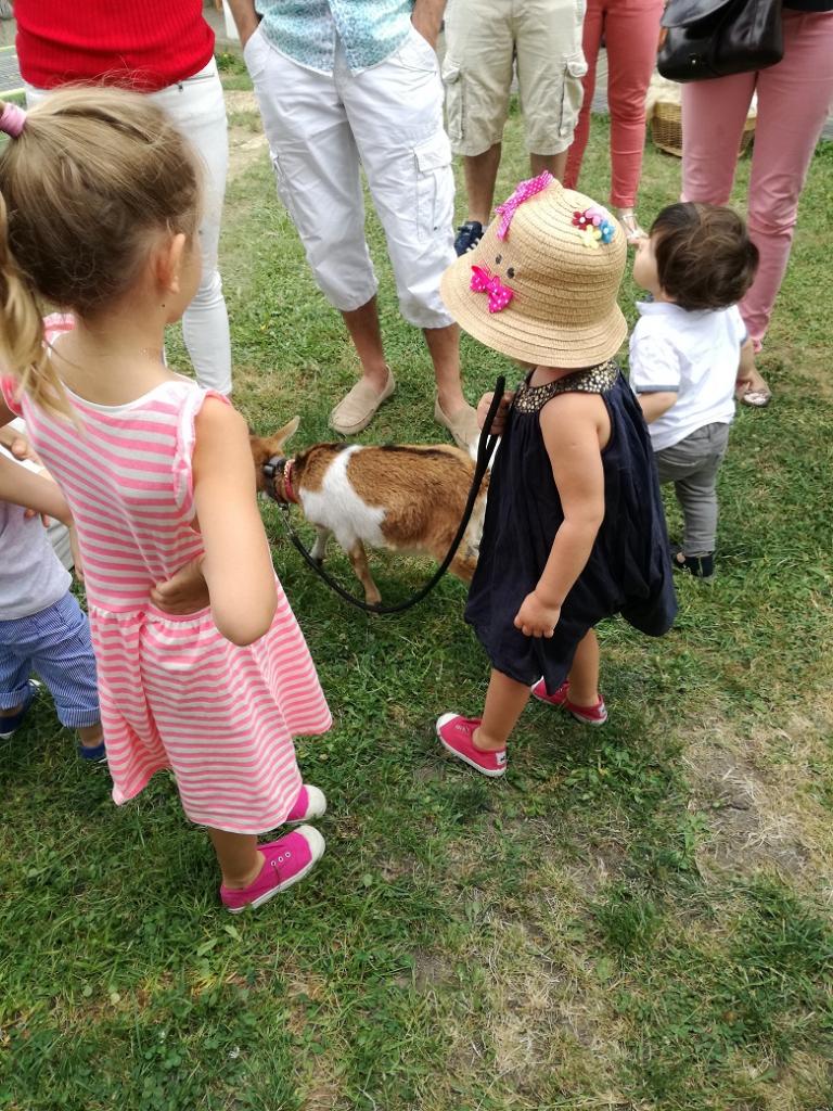 La ferme Roule ma Poule (26)