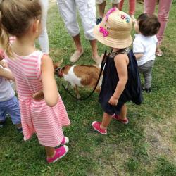 La ferme Roule ma Poule (26)