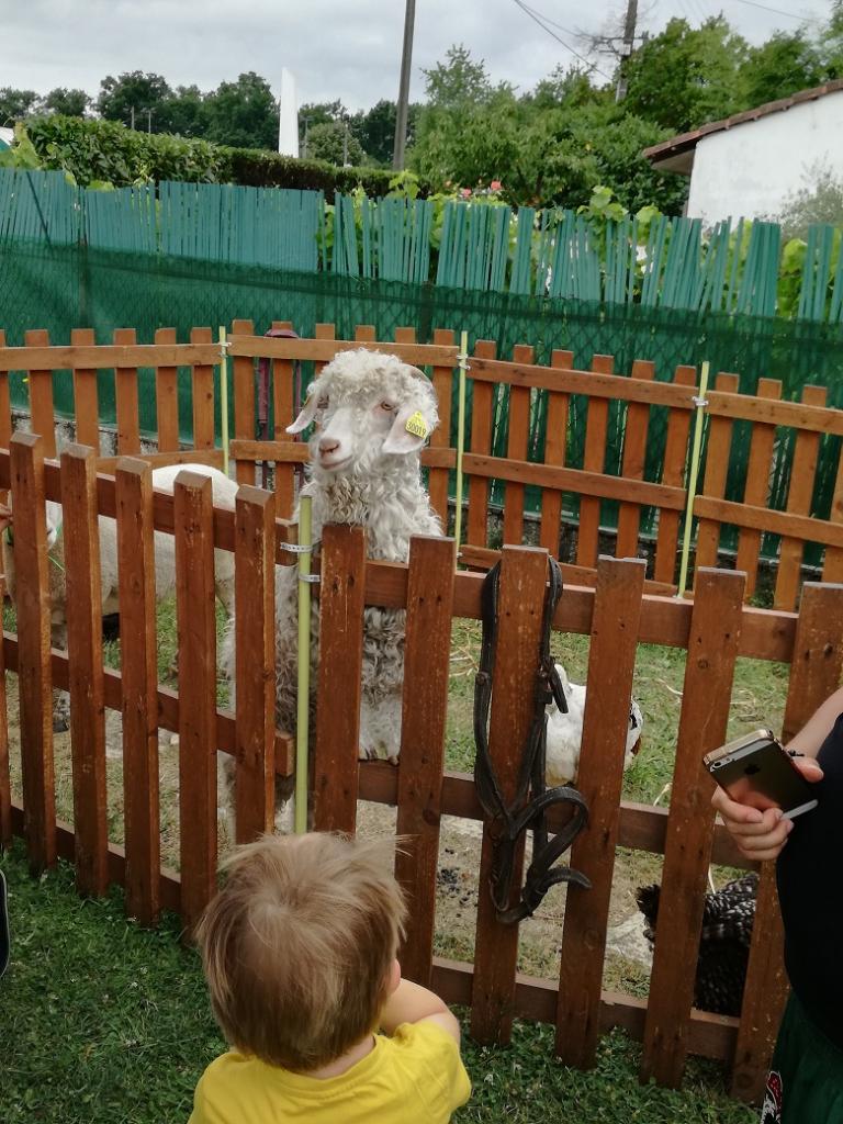 La ferme Roule ma Poule (29)