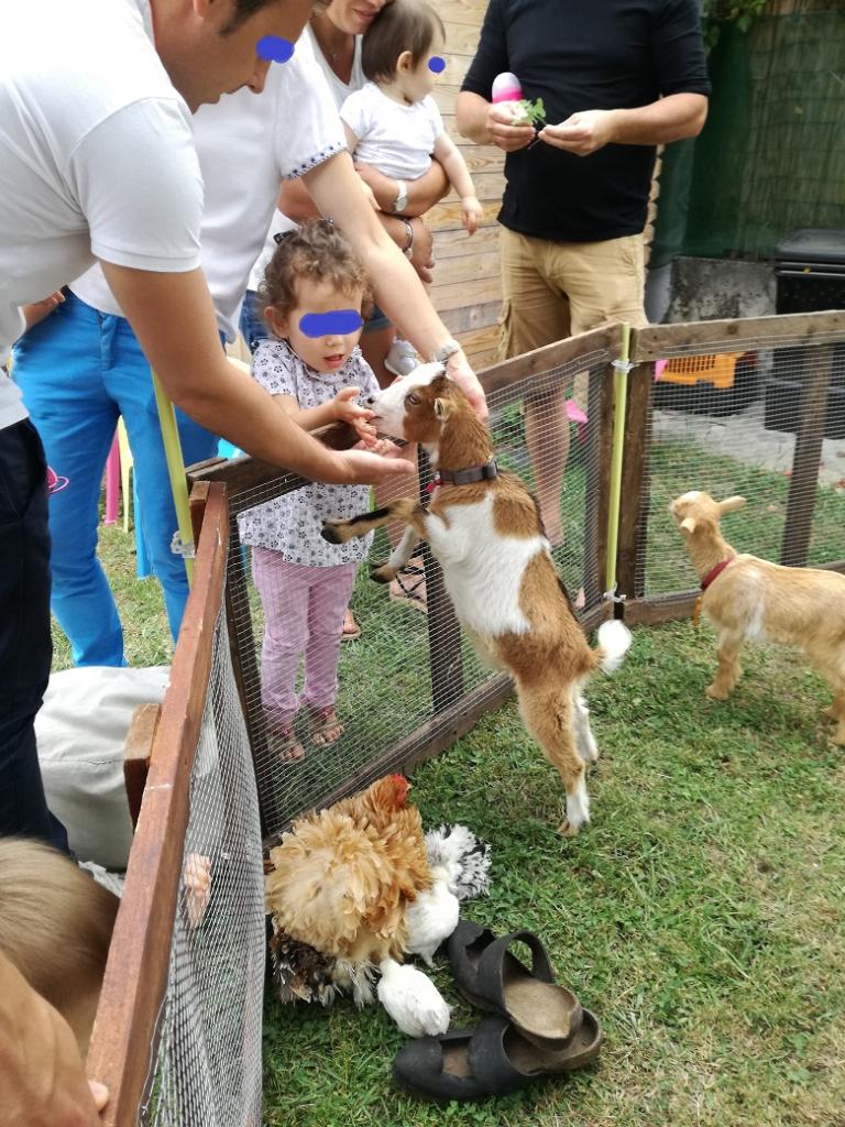 La ferme Roule ma Poule (33)