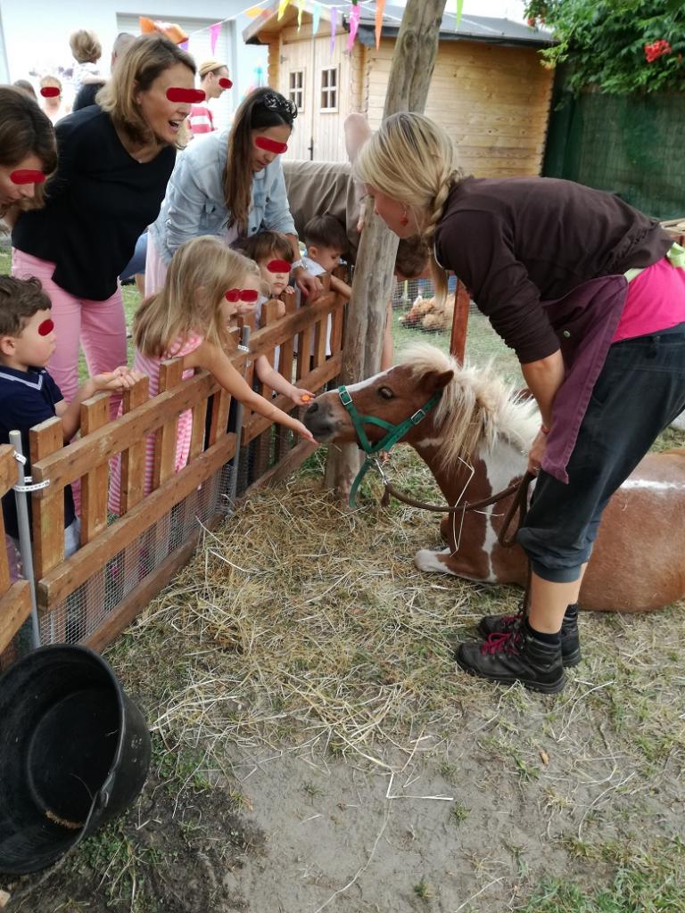 La ferme Roule ma Poule (34)