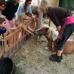 La ferme Roule ma Poule (34)