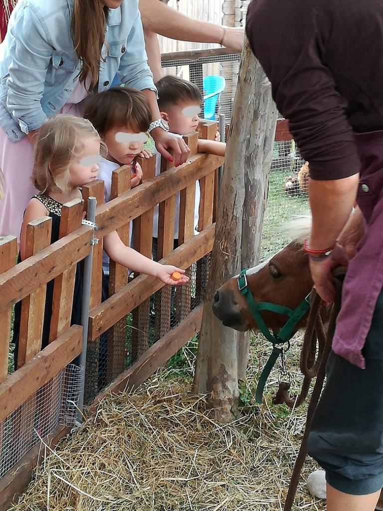 La ferme Roule ma Poule (35)