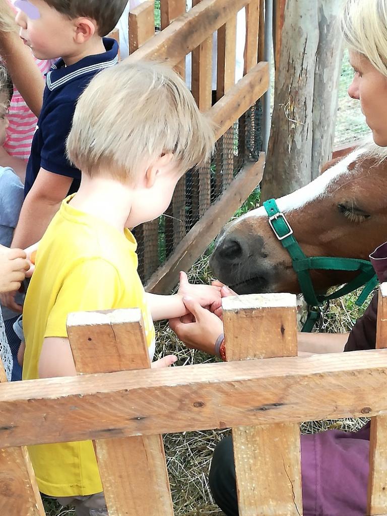 La ferme Roule ma Poule (36)