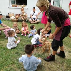 La ferme Roule ma Poule (6)