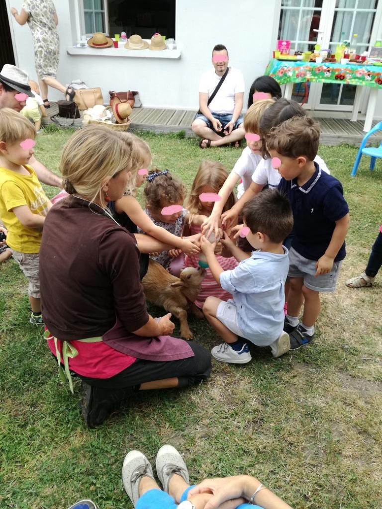 La ferme Roule ma Poule (7)