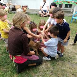 La ferme Roule ma Poule (7)
