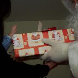 Noël 2013